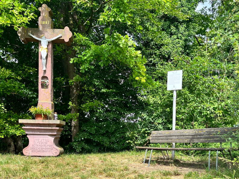 22-06-06 11-24-11 1055